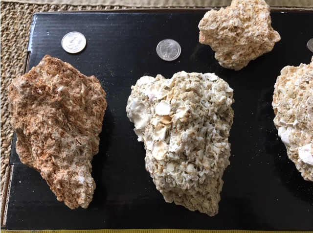 Ocean Sandstone Stones Aquarian Decoration House Reptial Snake Fish Tanks