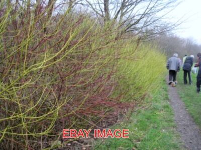PHOTO  TOP MEADOW BLACKLEY FRIENDS OF MINE CLIMBING UP FROM BLACKLEY NEW ROAD AL
