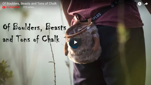 8BPlus Chalkbag - Max