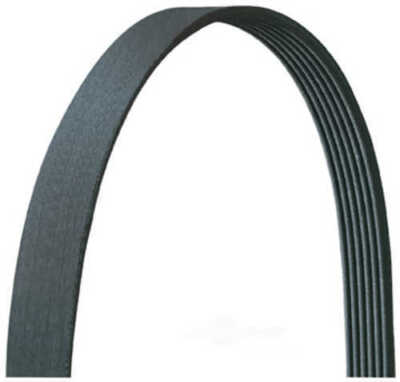 Serpentine Belt-GAS Drive-Rite 5060875DR