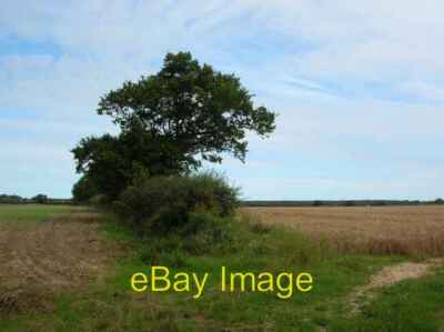 Photo 6x4 Across to Aylmerton Looking along a field boundary off a by roa c2007