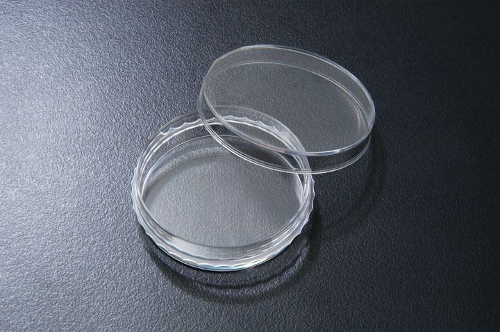 SPL Petri Dish, PS, 50 x 15 mm,  Non-Airvent, external grip, sterile, case of 50
