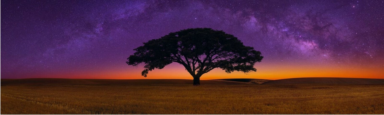 ピーターリック Peter Lik 『endless dreams』 Endless Dreams | Fine Art Photograph by Peter Lik