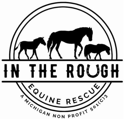 In The Rough Equine Rescue