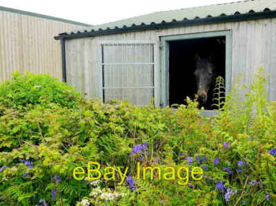 Photo 6x4 Window on the World As well as having a great view over some be c2015