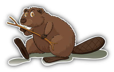 Eager Beaver Car Bumper Sticker Decal 5'' x 3''