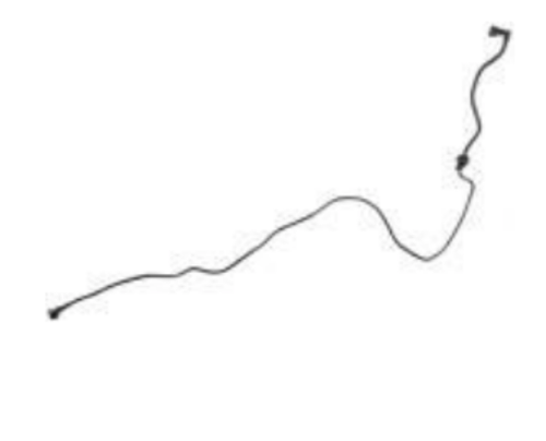 ウリウリ Amazon.com: Walker Products 250-54006 4-Wire Air/Fuel Ratio