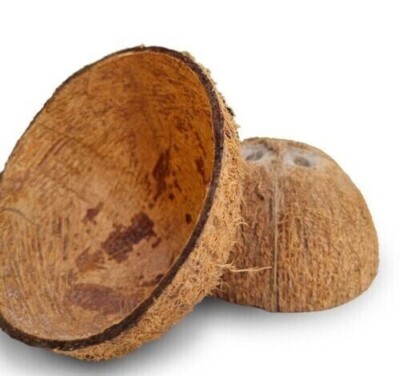 COCONUT SHELL 100% Natural Pure Eco Friendly Ceylon Coconut Shell Halves pcs 02