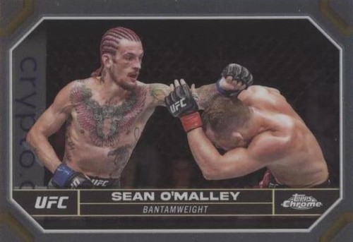 ufc sean brady 激レアカード 2024 Topps UFC Finest #208 Sean Brady Rare | eBay