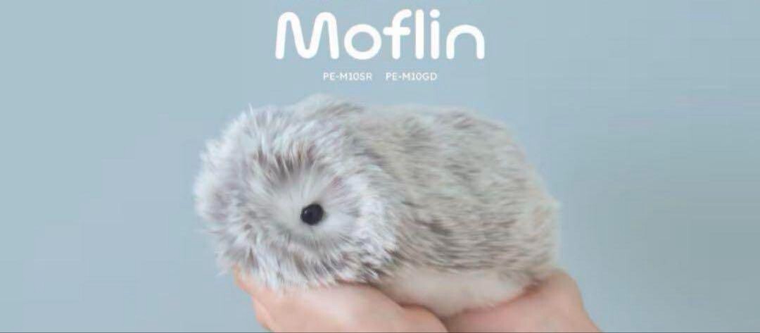 新品　AIペット Moflin モフリンシルバー PE-M10SR CASIO Casio AI Pet Moflin Robot (Silver) PE-M10SR Japan Official