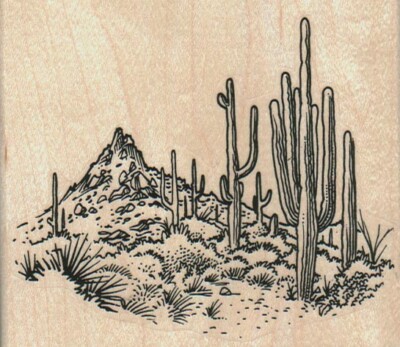 Saquaro Cactus Scene  3 3/4 x 3 1/4'' Rubber Stamp, Western Stamp, Cowboy Stamp