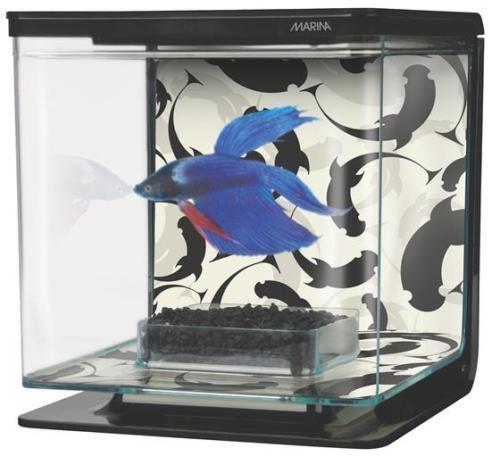 Cube Aquariums & Tanks