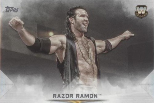 2020 Topps WWE Undisputed - Scott Hall #87