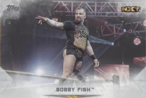 2020 Topps WWE Undisputed - Bobby Fish #53