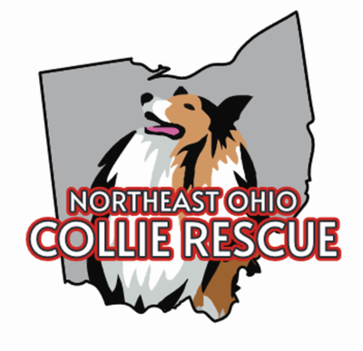 NorthEast Ohio Collie Rescue
