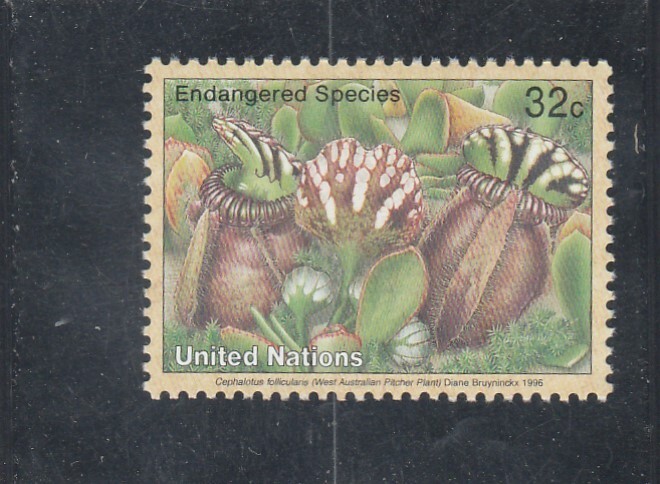 L7051 Nations Unies Ny Timbre NÂ°Y&T 698 De 1996 