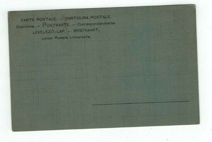 Antique hp post card Beautiful Night View Trees Pond Stars Forest Silhouettes