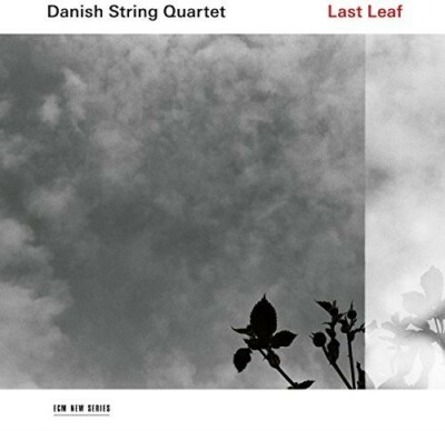 Last Leaf