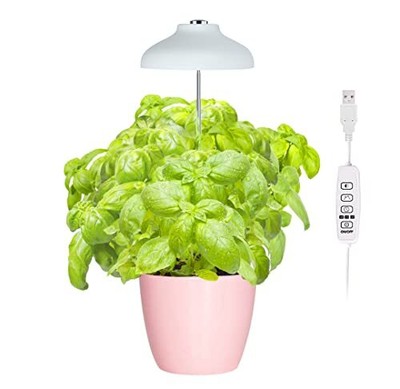 Height Adjustable 7ft Cord 8/12/16 Hours Automat