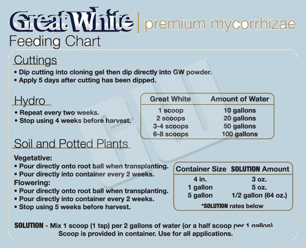 Great White Mycorrhizae Feeding Chart