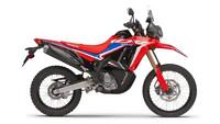 2025 NEW Honda CRF300 Rally, BRAND NEW MODEL, A2 Licence, Family Run Business