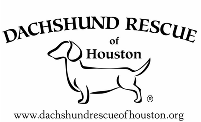 Dachshund Rescue of Houston