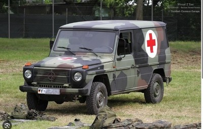 Peddinghaus 3 D Druck 1-72 72BW003 Wolf Sanka