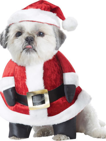 Petsmart Merry Bright BLING Mrs Santa Claus DOG Costume Dress Christmas S |  eBay
