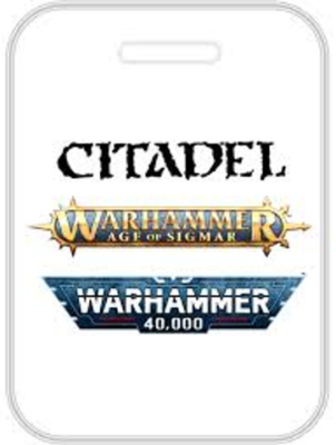 Возвышенный Несущий смерть с Пронзающим копьем Warhammer Age of Sigmar