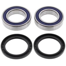 DVX // 300 DVX Radlager Kit vorne Arctic Cat 250 25-1035