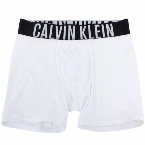 Calvin Klein Boxer Briefs for Men