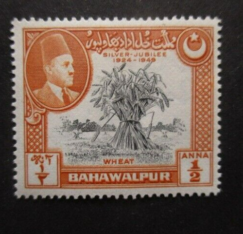 Bahawalpur NÂ°19 Neuf * Cote 15â¬