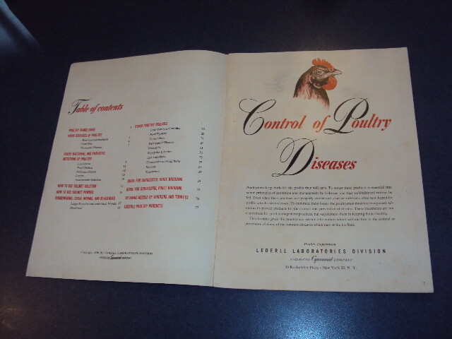 CONTROL OF POULTRY DISEASES LEDERLE 1950 POULTRY HEALTH MANUAL 28 pages
