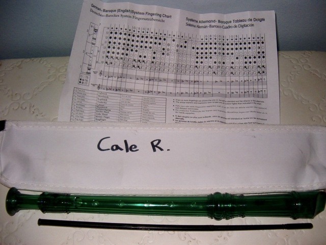 Harmony H147G 2 Piece Saprano Recorder Baroque Fingering w/ Case Tonette Flute