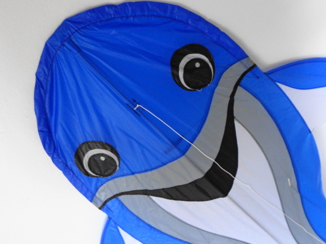 Dolphin Kite by Robert Brasington -  NEW & NRFP