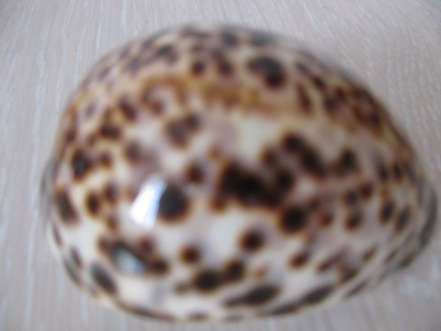 Picture 3