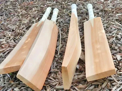 New English Willow Cricket Bat Pro BIG THICK Edge Grade 1 Full Size Short Handle