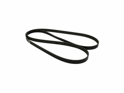 Air Conditioning Multi Rib Belt 2PGM59 for Focus Transit Connect 2009 2008 2010