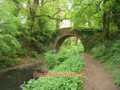 PHOTO  UP NATELY IVY CLAD BRICK KILN BRIDGE THE LAST REMAINING BRIDGE OVER THE B