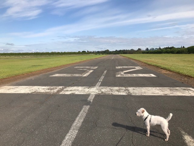 PATRIOTIC AMERICAN FLAG USA RED WHITE BLUE THROW PILLOW SHAM HOME DECOR 16X17
