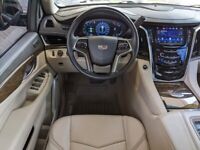 Miniature 12 Voiture Américaine d'occasion Cadillac Escalade 2019