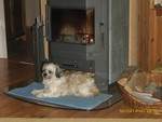 ilonapeter0202