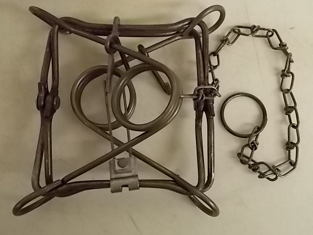 1 DOZ DUKE 120 BODY GRIP ANIMAL TRAP TRAPS TRAPPING MINK MUSKRAT MARTIN FISHER