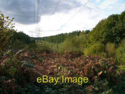 Photo 6x4 Pylons in Creech Woods Anthill Common  c2008