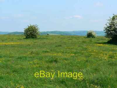 Photo 6x4 Rodborough Common, near Stroud Stroud/SO8405 Rodborough Common c2008