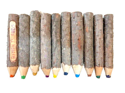 Set Of Ten Unique Handmade Colored Pencils Rustic Wood Twigs (Diameters Vary)