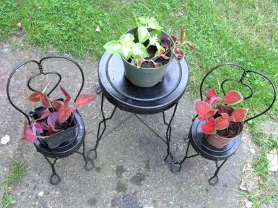 Small Size Ice Cream Parlor Set Black Metal Round Table 2 Chair Plant Stand Doll