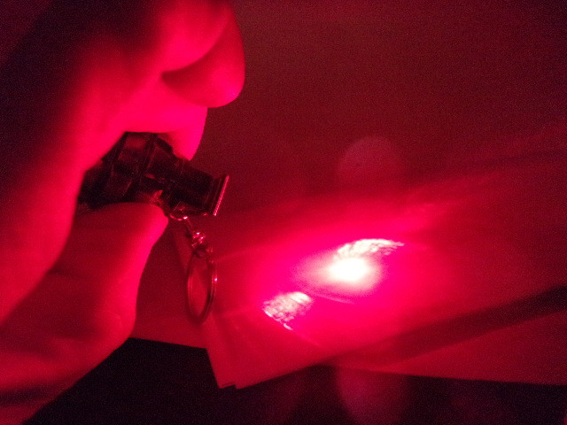 PINEAPPLE GRENADE LASER POINTER,DUAL, LED SPOTLIGHT