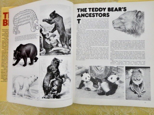Teddy Bears Book Philippa and Peter Waring 1980