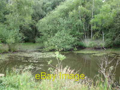 Photo 6x4 Small pond close to Cudbury Clump tumulus Lower Common  c2009